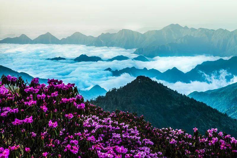 过气英雄